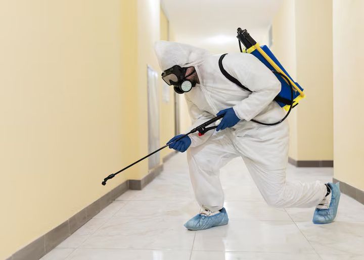 Explore the Details of Safe and Clean Pest Control