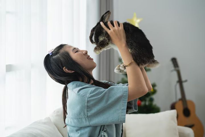 Taking Care of Your Furry Companions: A Guide to Pet Well-being