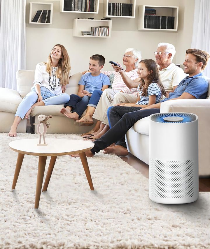Discover the Best Air Purifiers And Filters For Cleaner Air